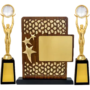 Employee recognition awards and trophies supplier in Bangalore